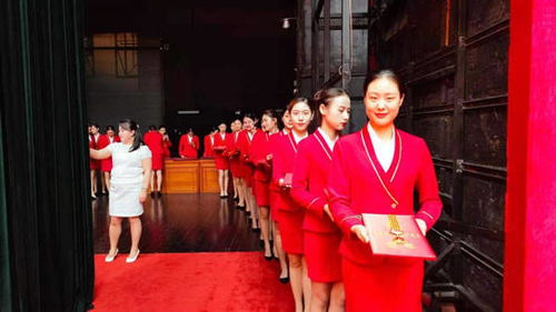 洛陽職業技術學院禮儀隊圓滿完成洛陽市七一表彰大會頒獎禮儀服務與軟件開發